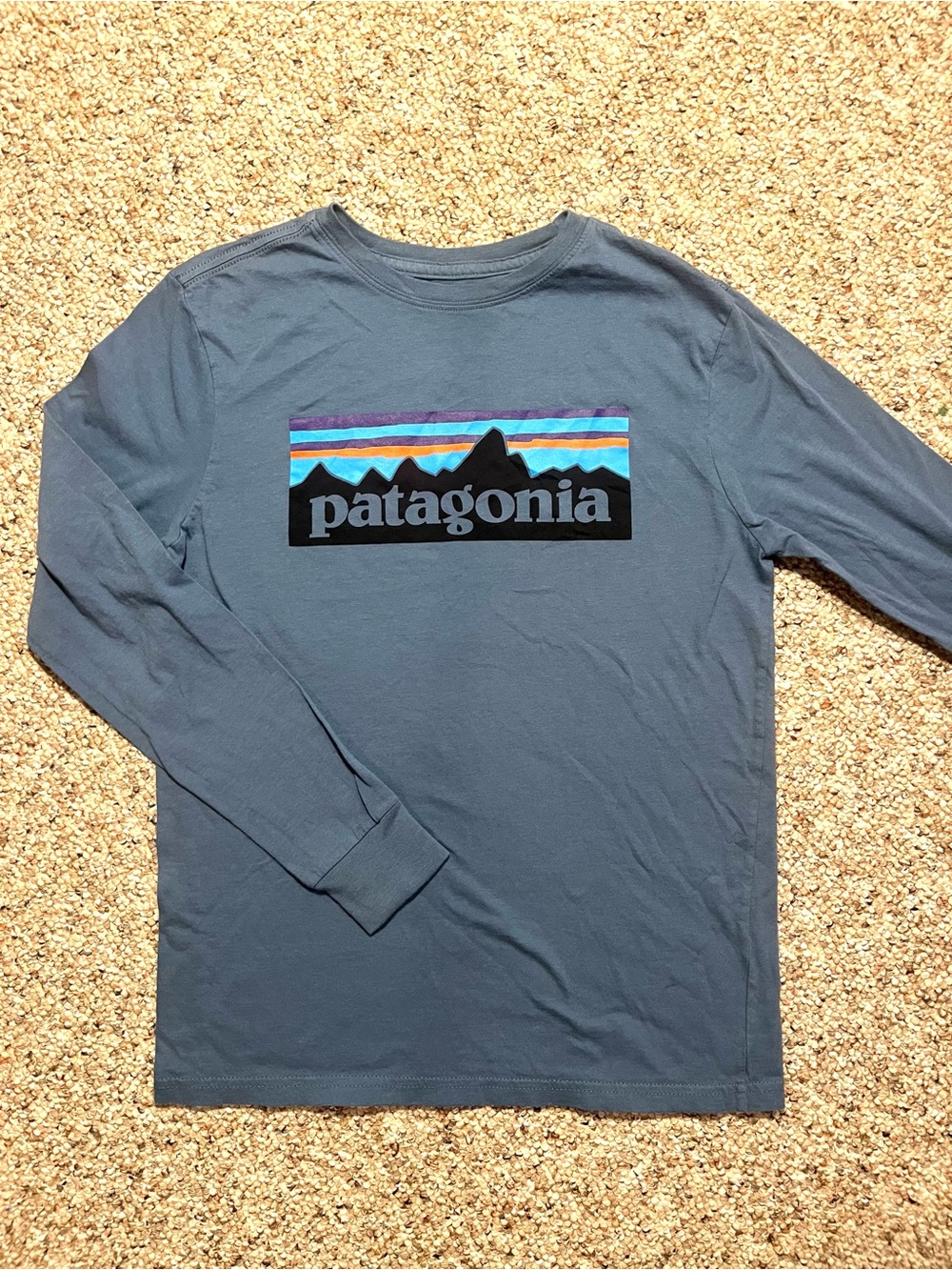 Patagonia Boys Blue Long Sleeve Logo Tee